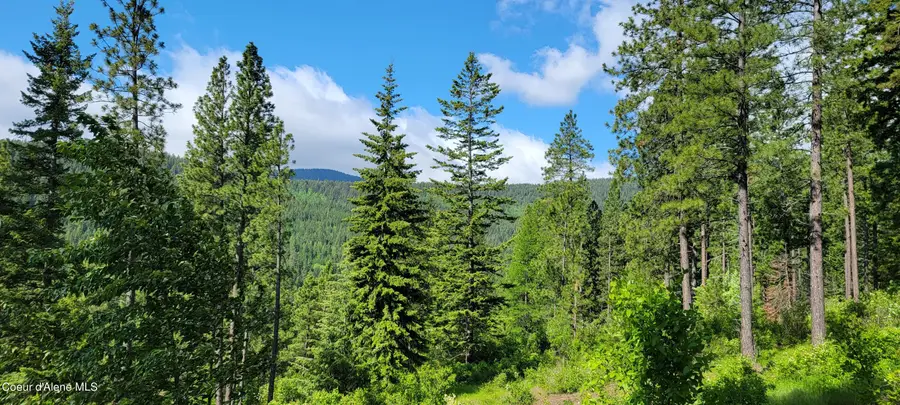 NNA Snowcat Lane Tract 2, Bonners Ferry, ID 83805 - #2