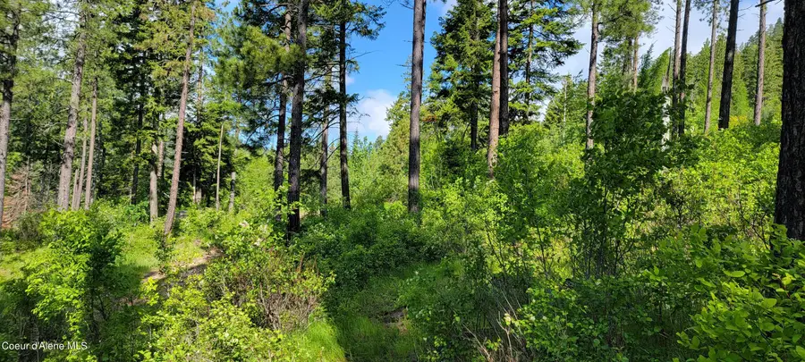 NNA Snowcat Lane Tract 2, Bonners Ferry, ID 83805 - #3