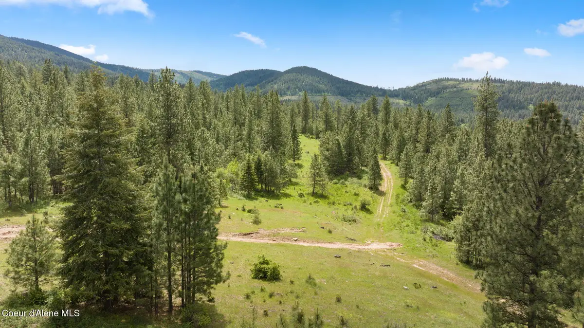 NKA S Alexanna Ln, Post Falls, ID 83854 - #1