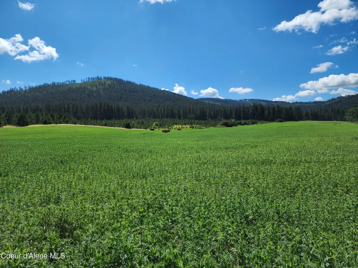 NKA Desmet Rd, Desmet, ID 83824 - #1