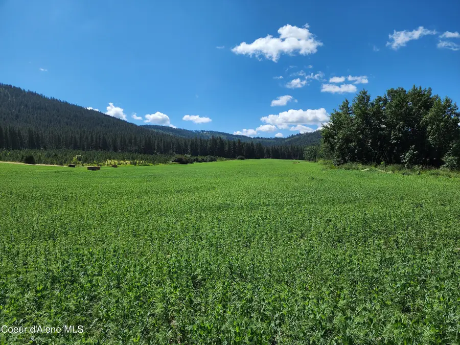 NKA Desmet Rd, Desmet, ID 83824 - #2