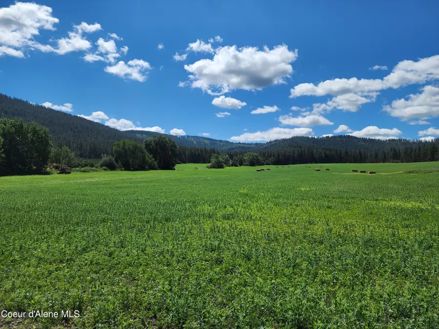 NKA Desmet Rd, Desmet, ID 83824 - #3