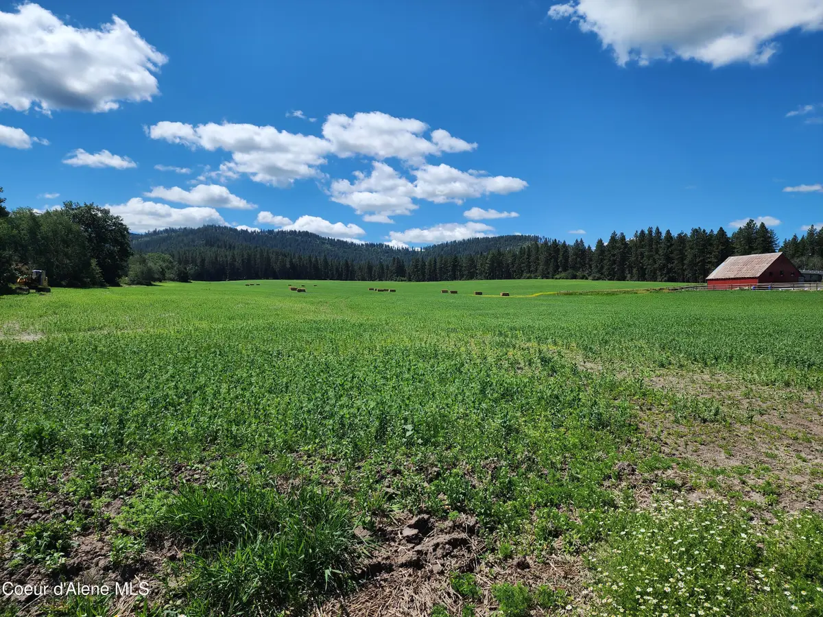 NKAParcel2 Desmet Rd, Desmet, ID 83824 - #1