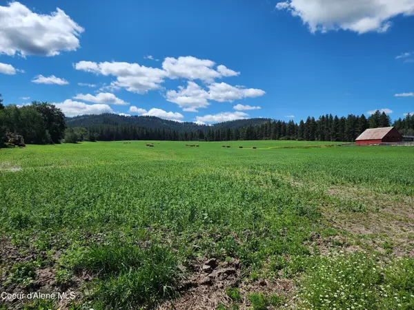 NKAParcel2 Desmet Rd, Desmet, ID 83824