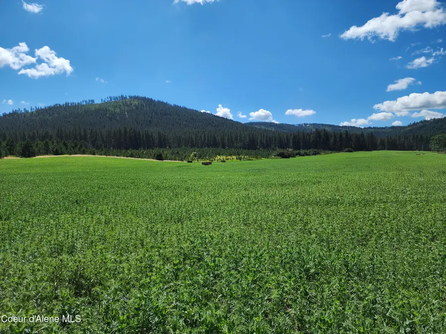 NKAParcel2 Desmet Rd, Desmet, ID 83824 - #3