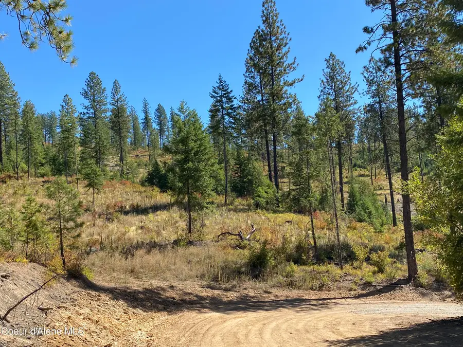 NNA Stone Rd Lot 5 (20.0 Acres), Blanchard, ID 83804 - #3
