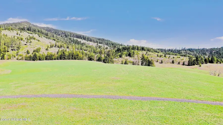 NKA Butte Lane Lot 3, Plummer, ID 83851 - #3