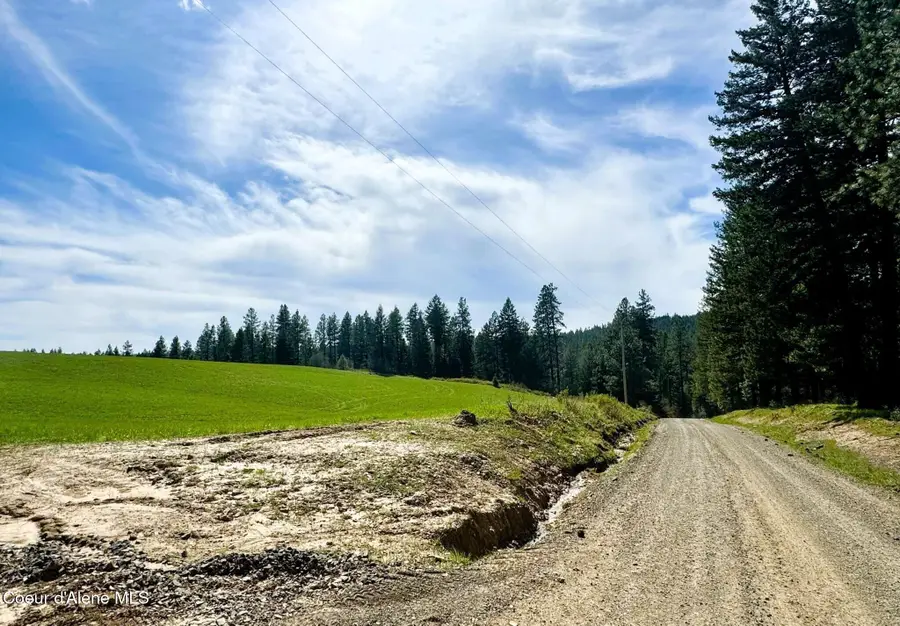 NKA Butte Lane Lot 2, Plummer, ID 83851 - #2