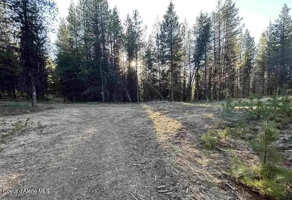 162 Coopers LN, Dixie, ID 83525