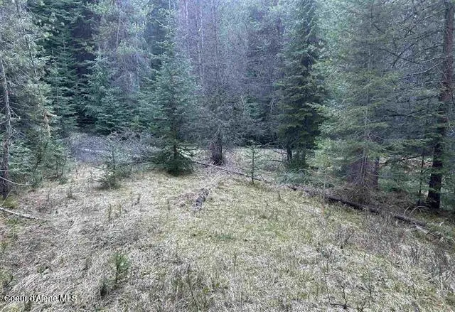 162 Coopers LN, Dixie, ID 83525 - #2