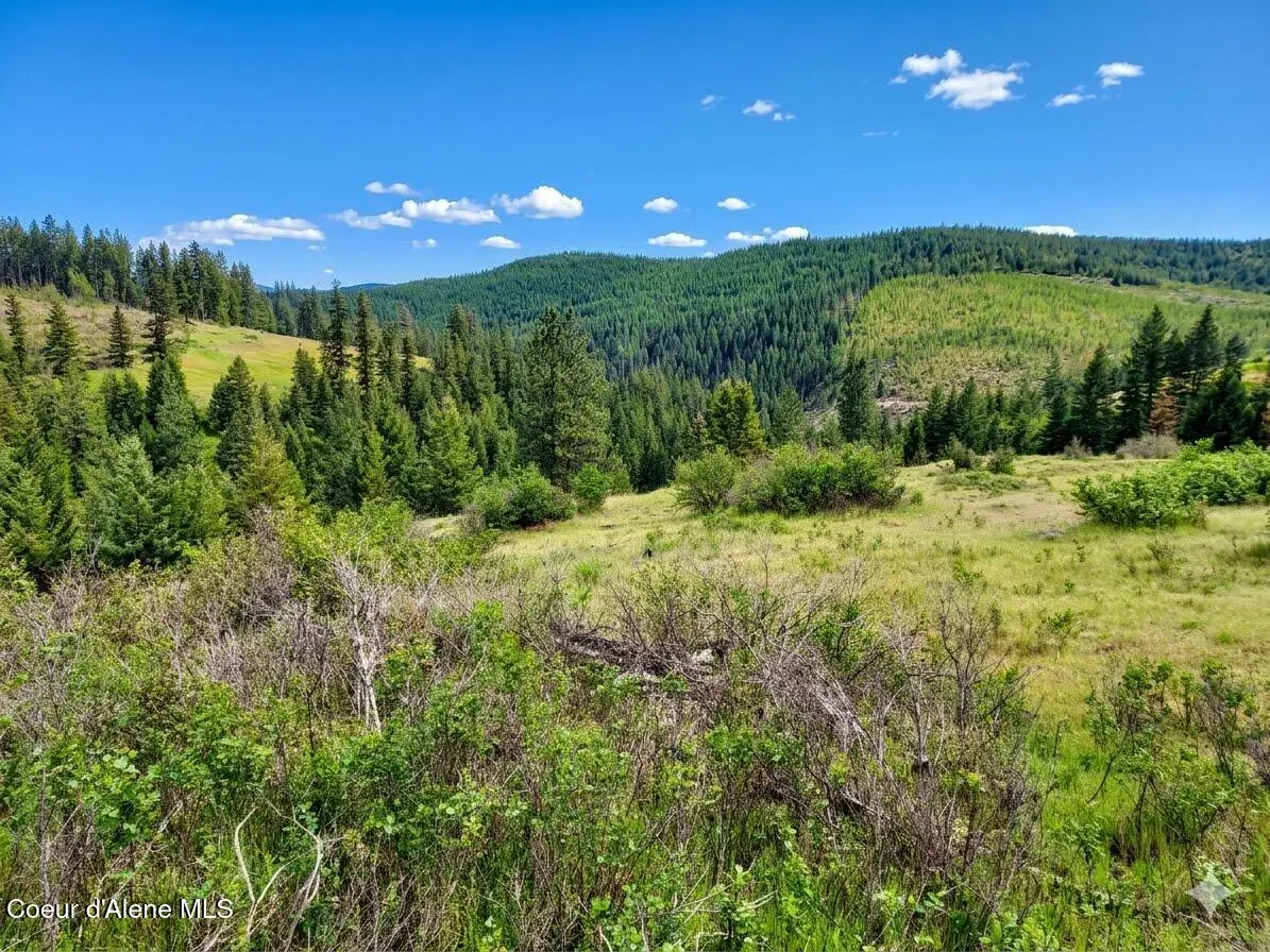 NKA Dorning Dr, Saint Maries, ID 83861 - #1