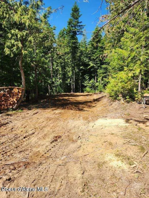 NKA Middle Fork Santa Creek Rd, Saint Maries, ID 83861 - #1