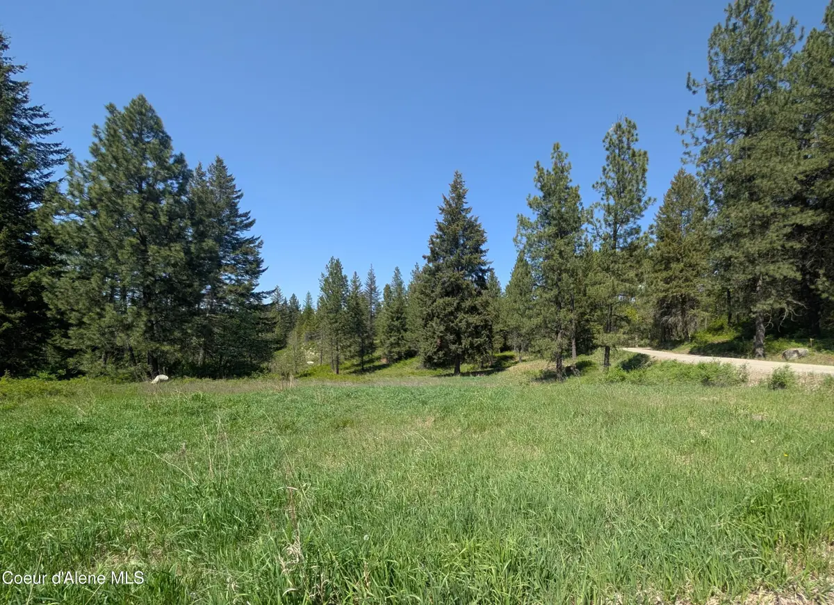 83 Catan LN, Bonners Ferry, ID 83805 - #1