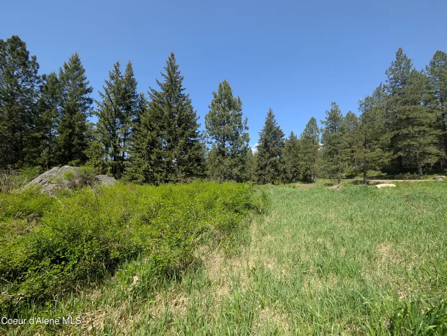 83 Catan LN, Bonners Ferry, ID 83805 - #2