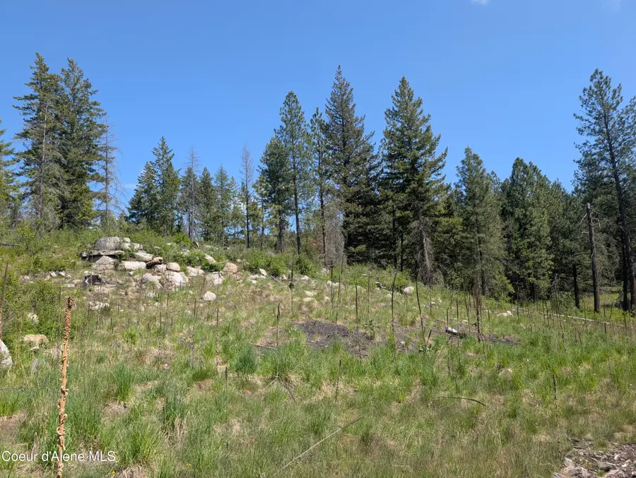 83 Catan LN, Bonners Ferry, ID 83805 - #3