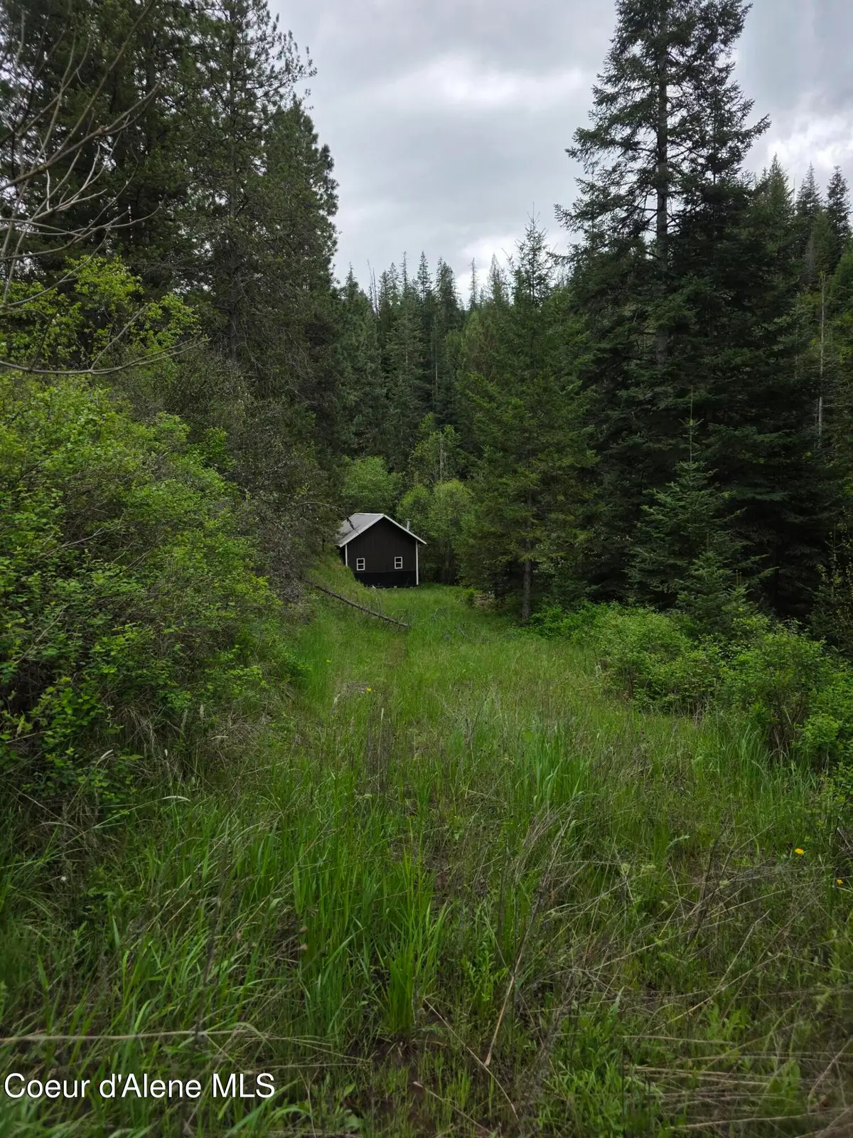 727 Blake Creek RD, Saint Maries, ID 83861 - #1