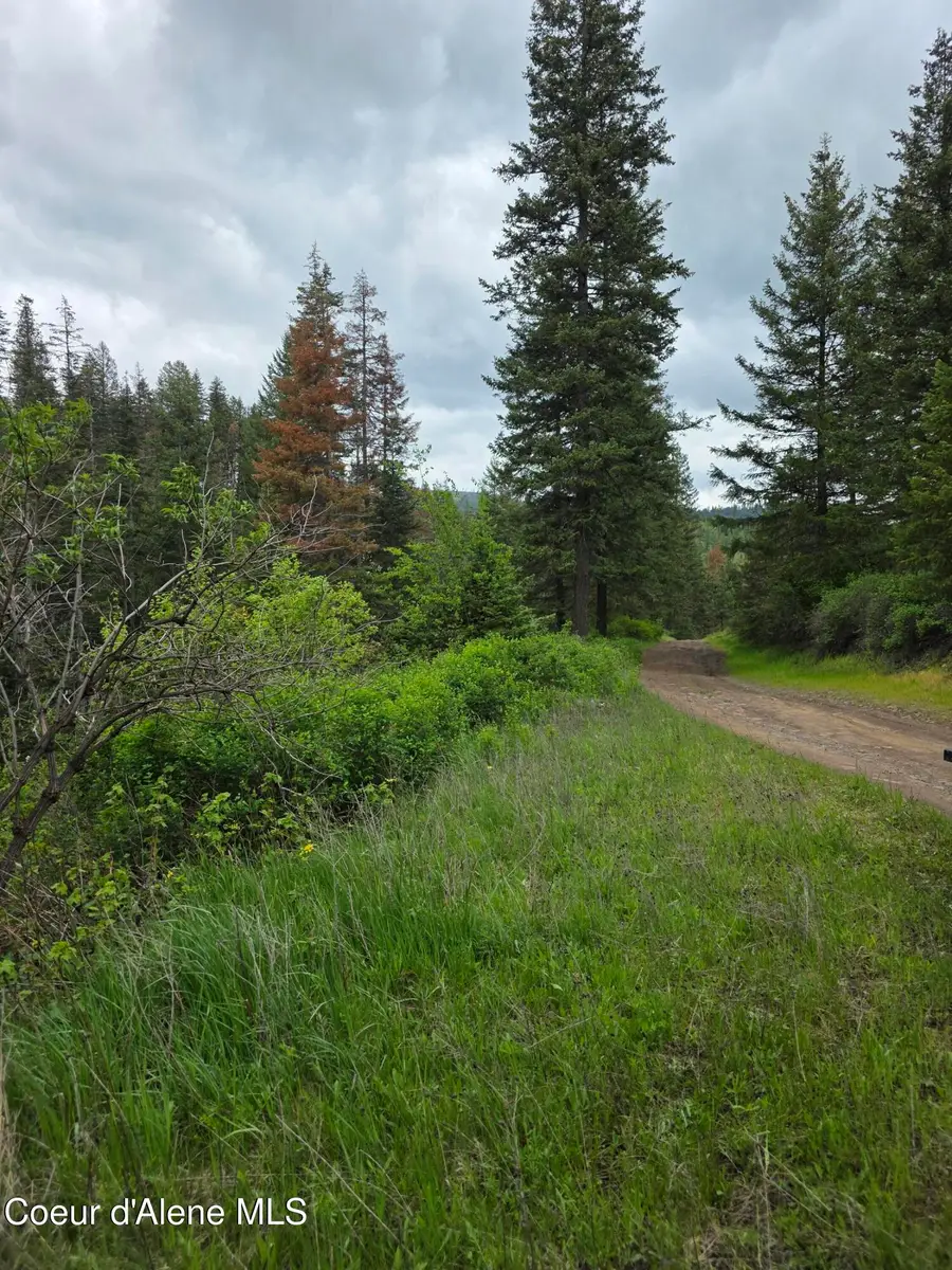 727 Blake Creek RD, Saint Maries, ID 83861 - #2