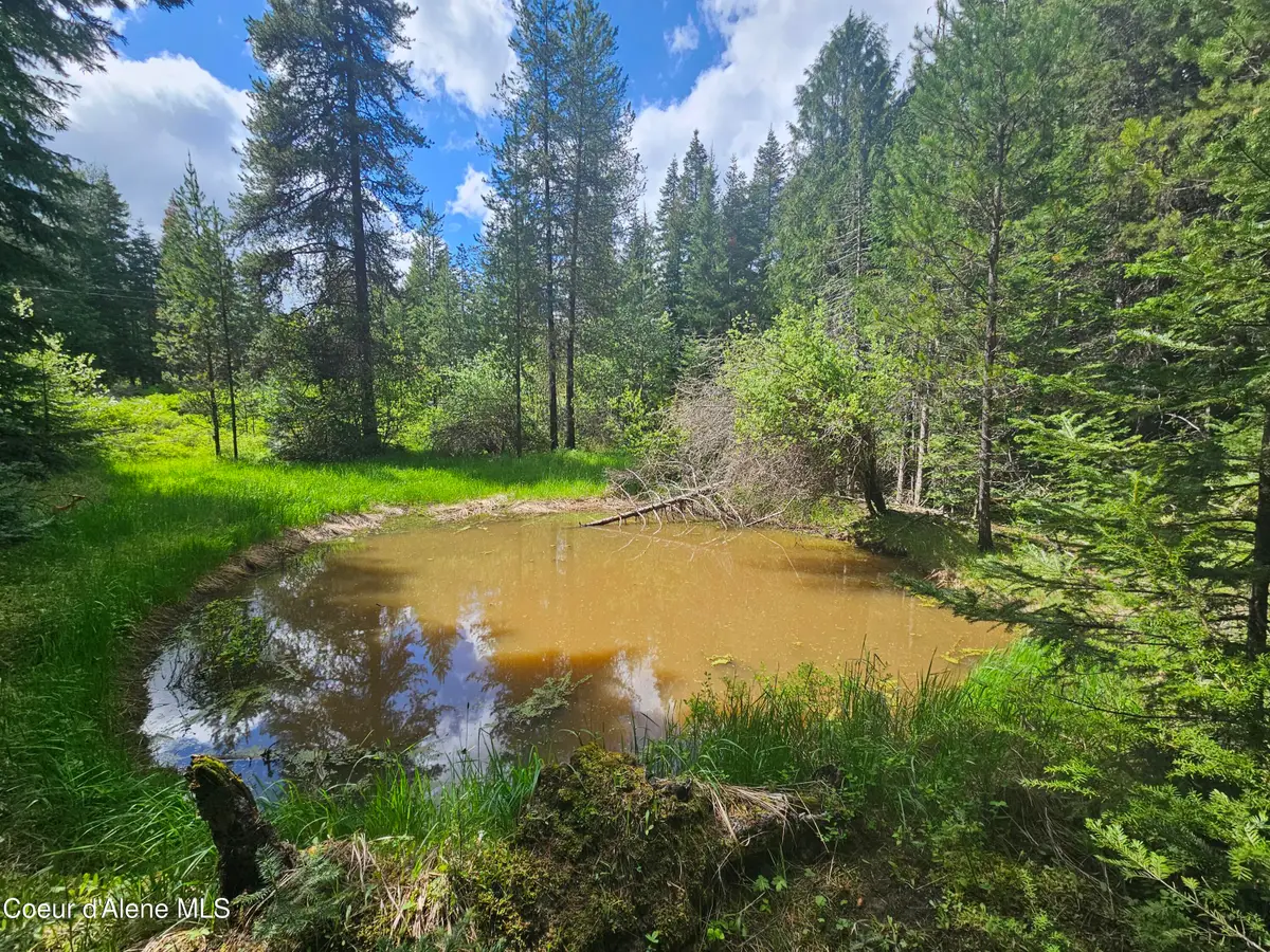 NKA Little Carpenter Creek Rd, Fernwood, ID 83830 - #1