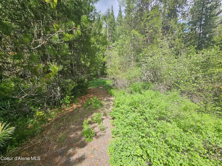 NKA Little Carpenter Creek Rd, Fernwood, ID 83830 - #3