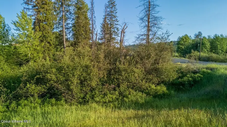 63941 State Hwy 3, Fernwood, ID 83830 - #3