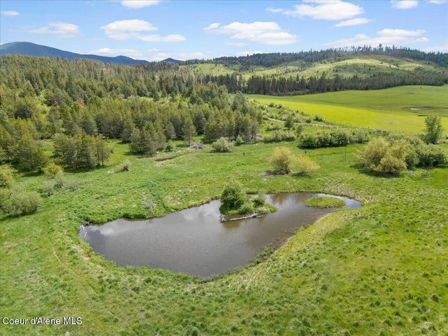 572 Foote Rd., Tensed, ID 83870 - #3