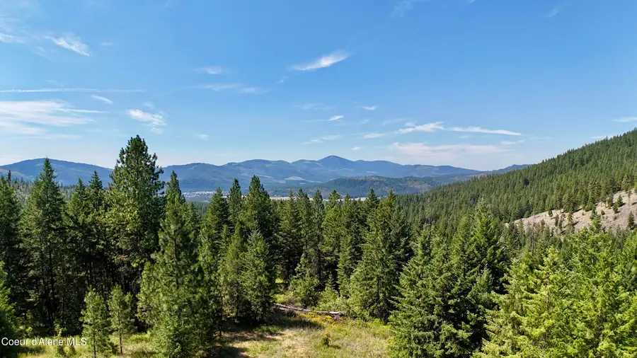 1710 Tower Mountain RD, Blanchard, ID 83804 - #2