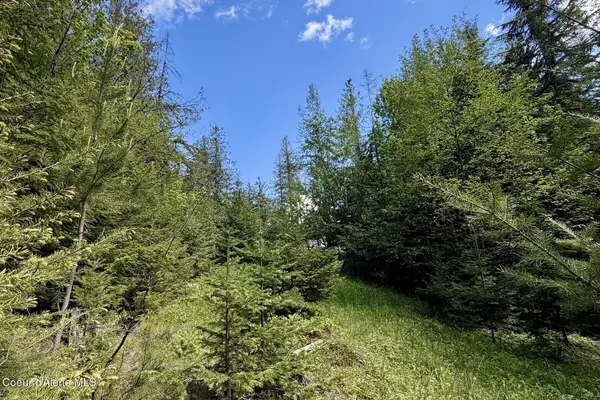NNA Lot 4 Silver Reef Rd, Sagle, ID 83860