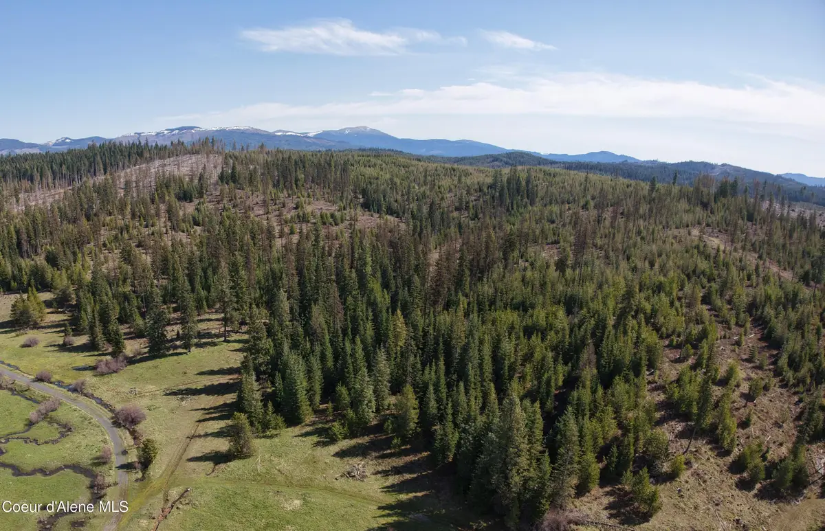 NKA Park Road 100 acres, Elk River, ID 83827 - #1