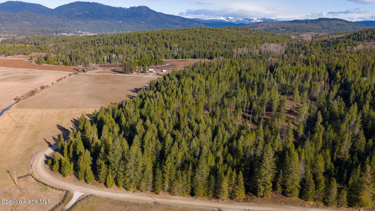 NKA Abundant Life (Lot 2) Court, Athol, ID 83801 - #1