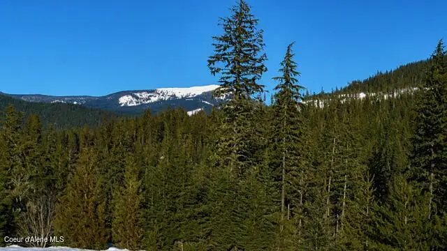 NKA Mountain Ridge Lane, Kingston, ID 83839 - #3