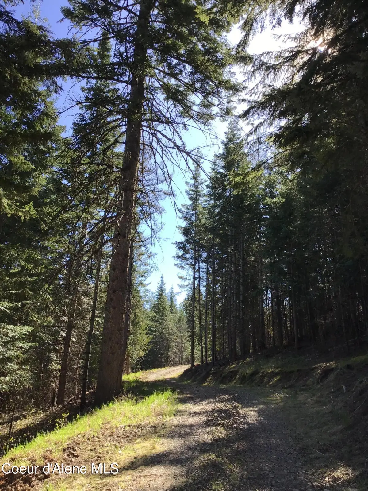 Highway 97, Harrison, ID 83833 - #1