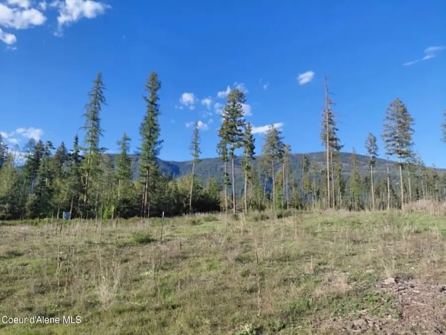 NNA This Way Rd, Bonners Ferry, ID 83805 - #3