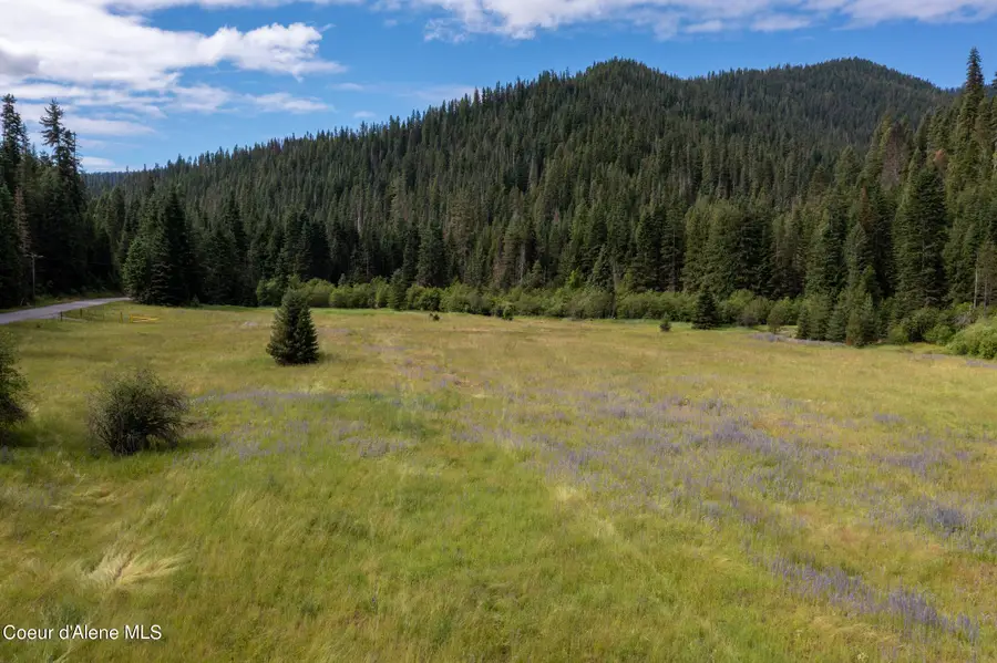 NNA Beaver Creek Rd., Wallace, ID 83873 - #3