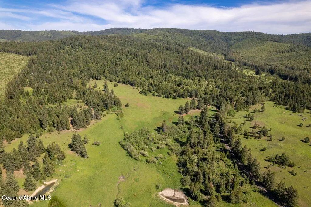 NKA Waddell Rd, Saint Maries, ID 83861 - #1