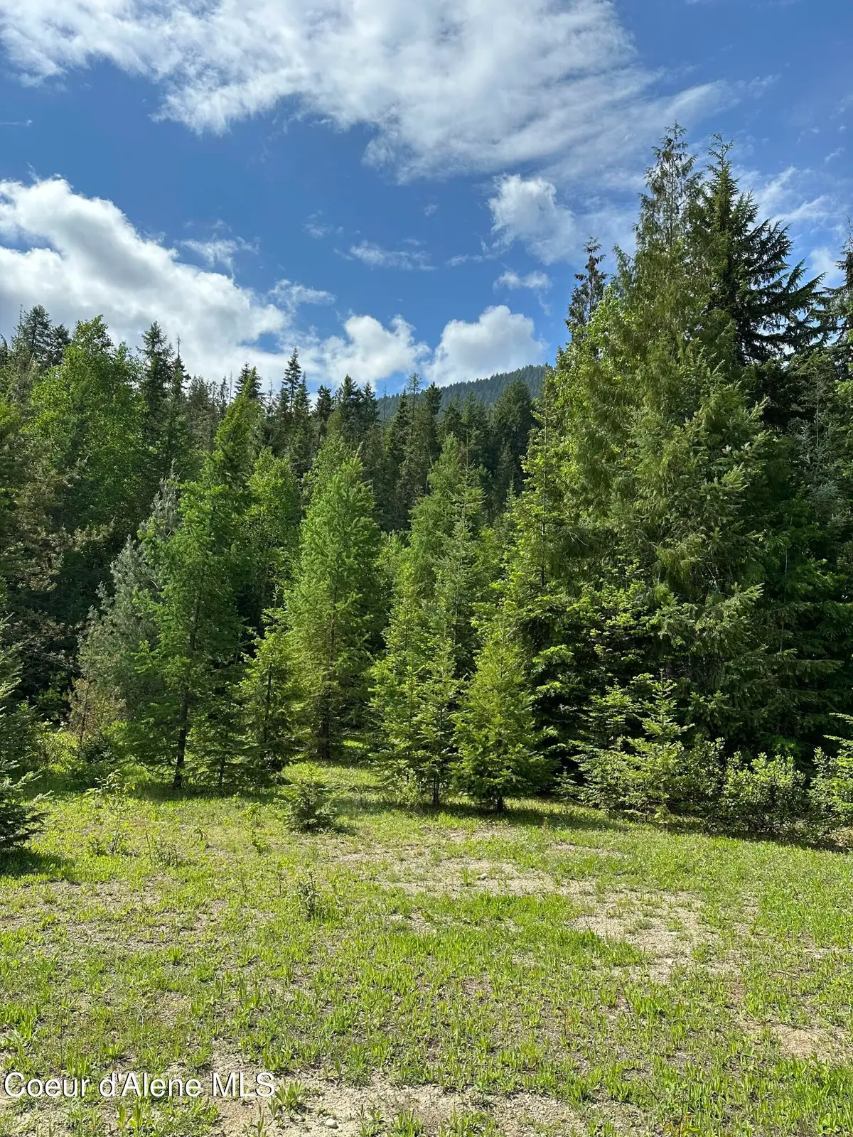 5784 River RD, Clark Fork, ID 83811 - #1