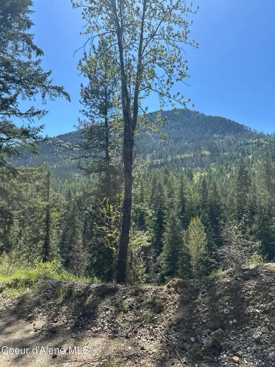 5784 River RD, Clark Fork, ID 83811 - #3
