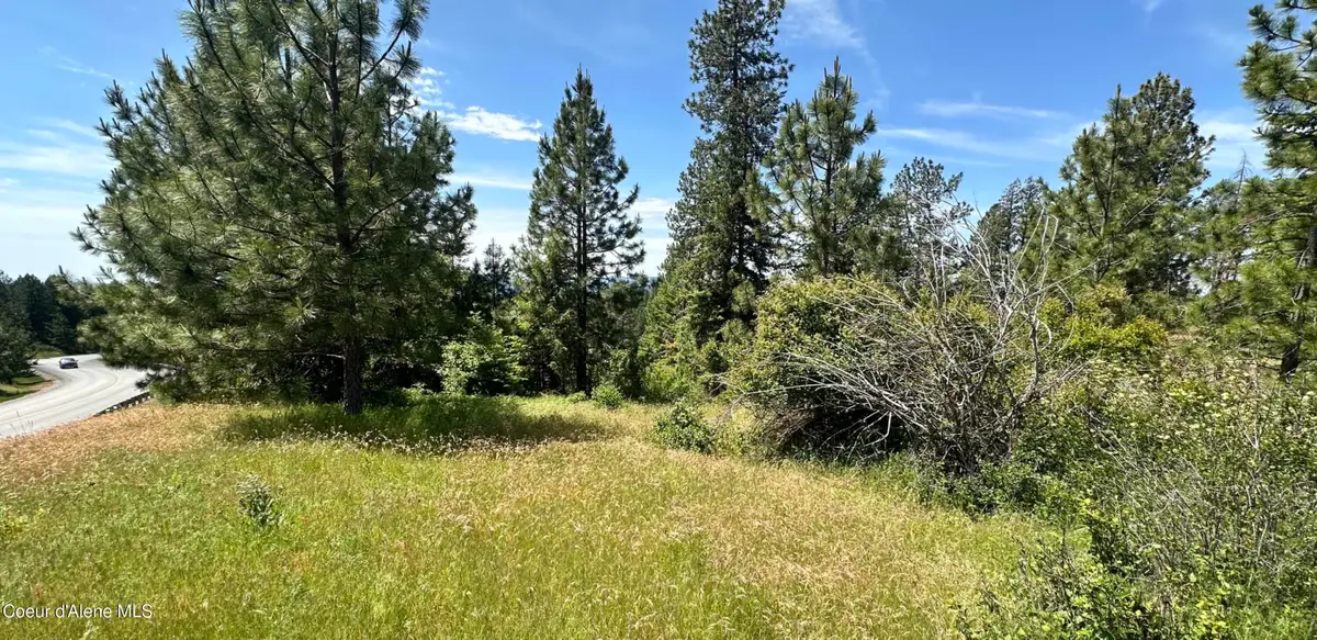 Mullan Trail Road, Coeur Dalene, ID 83814 - #1
