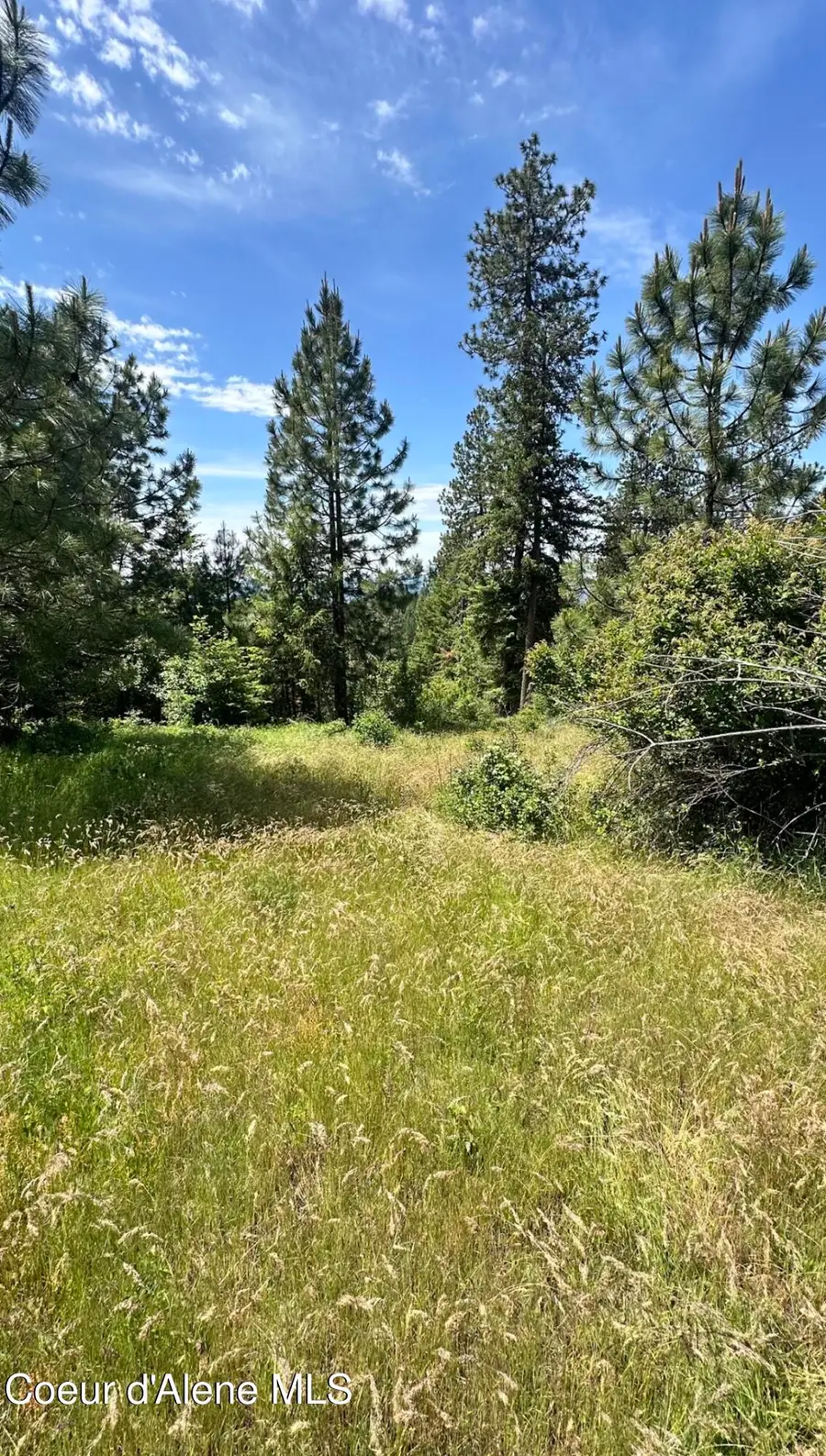 Mullan Trail Road, Coeur Dalene, ID 83814 - #3