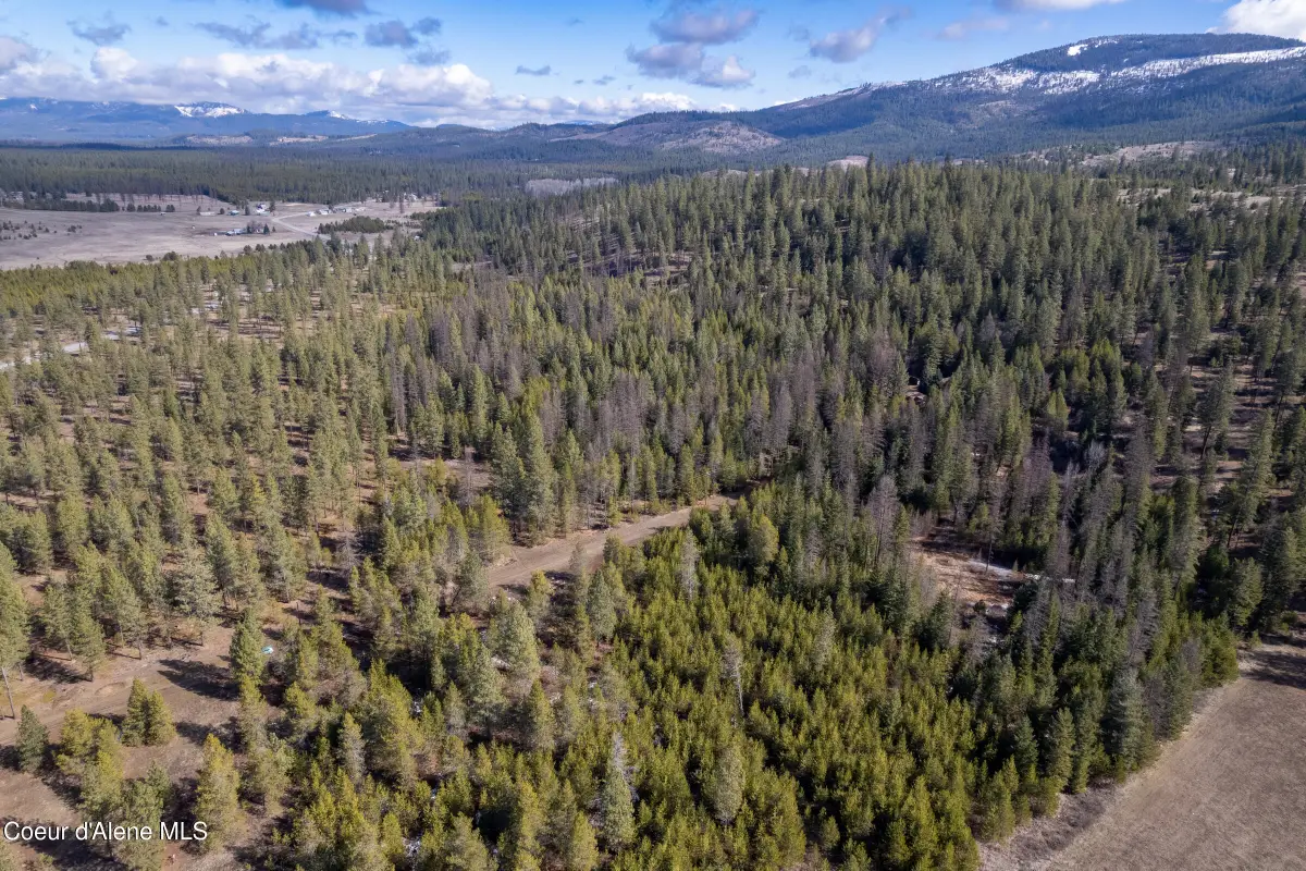NNA Hoo Doo Loop Rd, Oldtown, ID 83822 - #1