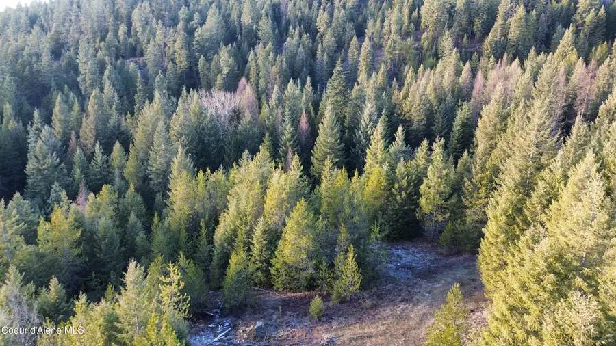 L6 B1 KELSO WOODS DR, Athol, ID 83801 - Image #3