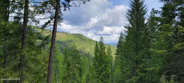 NNA Pup Paw Trail South, Priest River, ID 83856