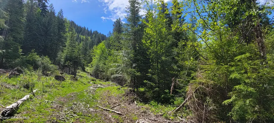 NNA Pup Paw Trail South, Priest River, ID 83856 - #2