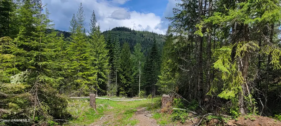 NNA Pup Paw Trail South, Priest River, ID 83856 - #3