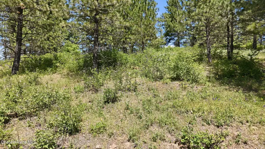 NNA S AURORA LN, Worley, ID 83876 - #3