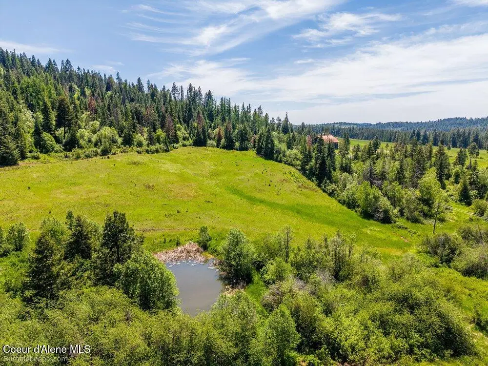 Tract E Thimbleberry Lane, Plummer, ID 83851 - #1