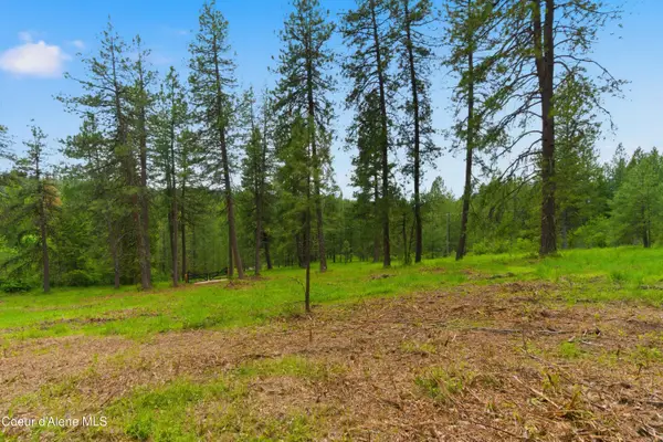 Parcel A S Dunlap Rd, Harrison, ID 83833