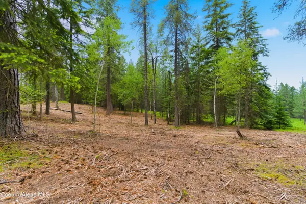 Parcel C S Dunlap Rd, Harrison, ID 83833