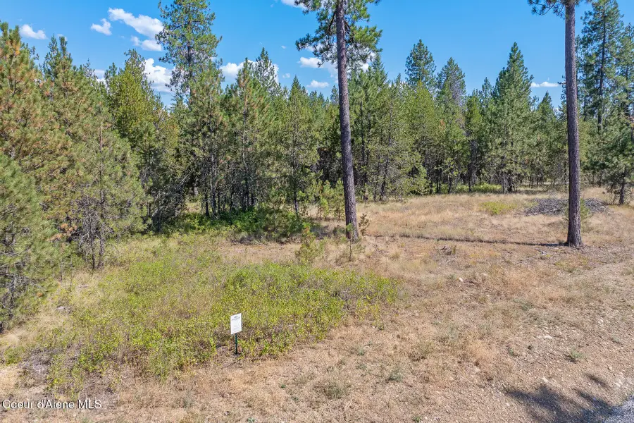 Lot 4 Dawson Lp, Athol, ID 83801 - #2