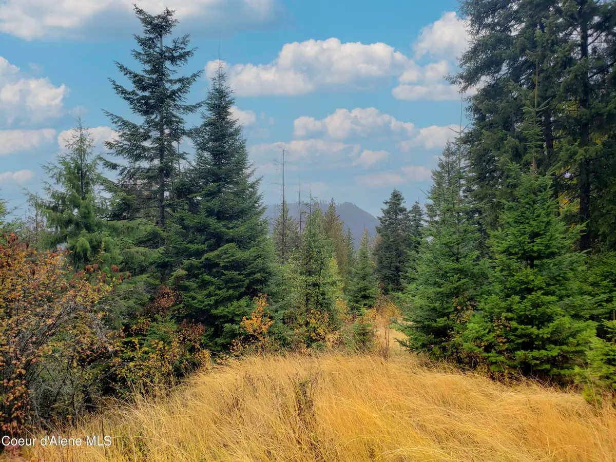 NKA White Cloud Dr, Sandpoint, ID 83864 - #1