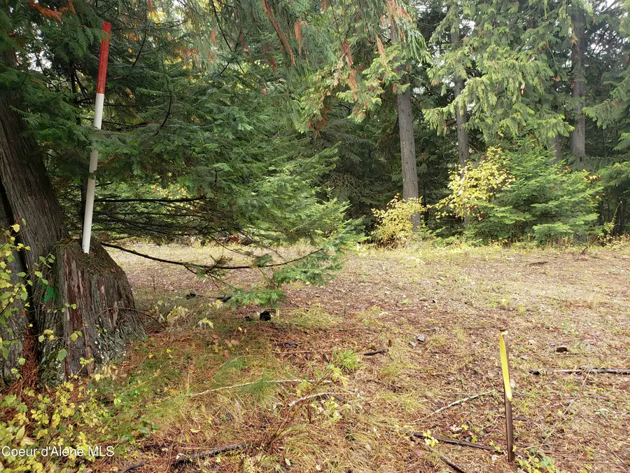 NKA White Cloud Dr, Sandpoint, ID 83864 - #2